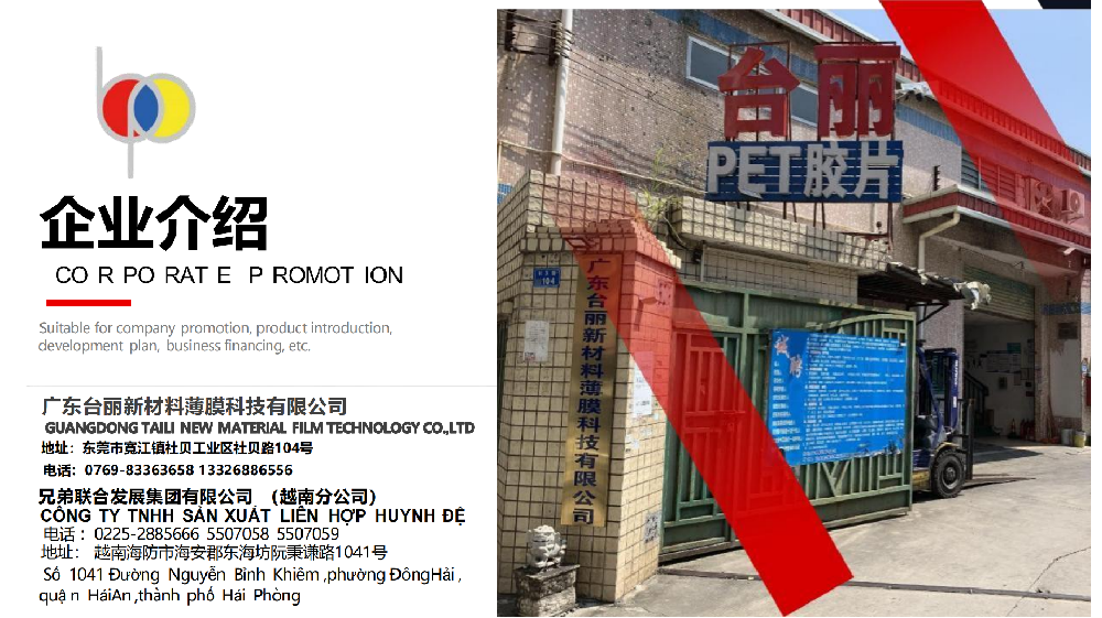 台丽新材料薄膜科技有限公司 产品介绍